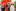 20260701_Richtfest Bild 8